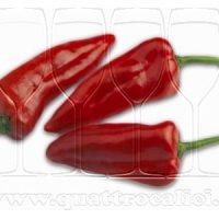 Peperone di Pontecorvo DOP