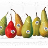 Pera dell’Emilia Romagna IGP