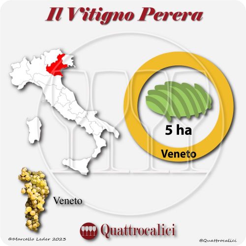 Il vitigno Perera in Italia