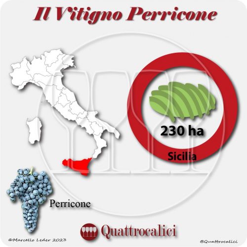 Il Vitigno Perricone e la sua coltivazione in Italia