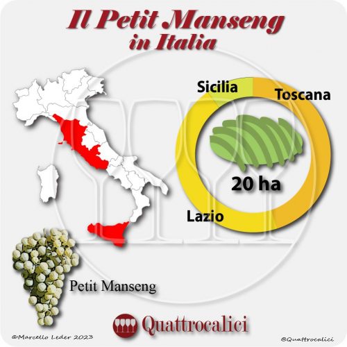 Il petit manseng in Italia