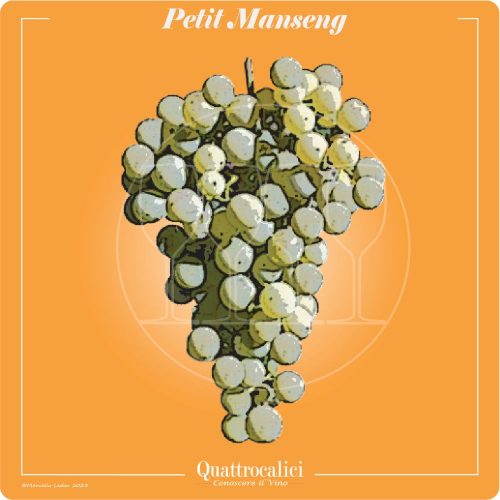 Vitigno  Petit Manseng