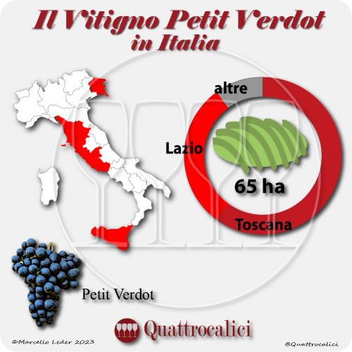 Il petit verdot in Italia