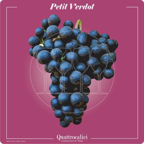 Vitigno  Petit Verdot