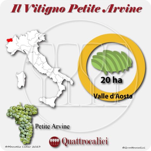 Petite Arvine - Quattrocalici - L'Atlante dei Vitigni