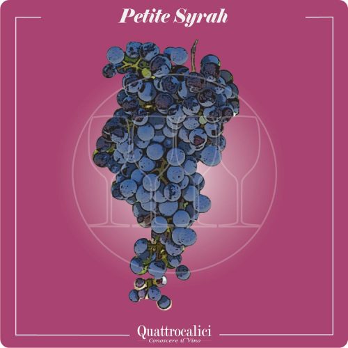 Vitigno  Petite Syrah