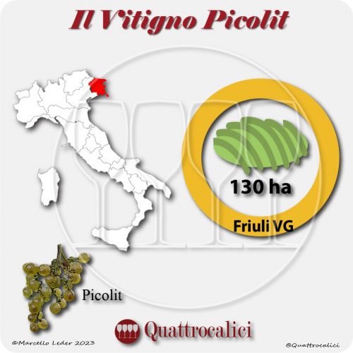 Il Vitigno Picolit e la sua coltivazione in Italia