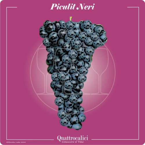 il vitigno Piculit Neri