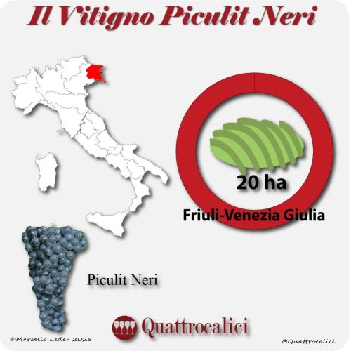 Il vitigno Piculit Neri in Italia