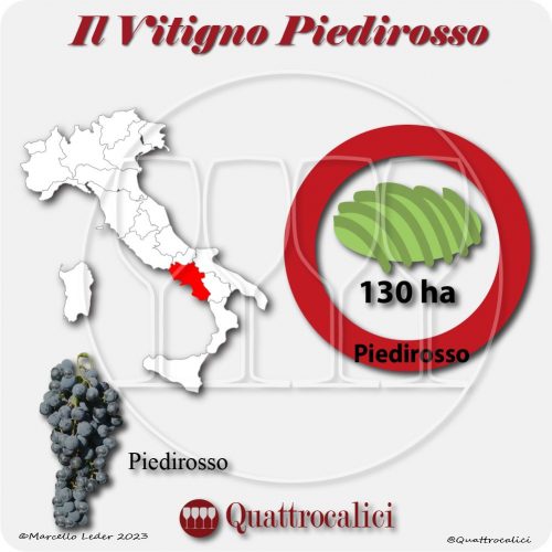Il Vitigno Piedirosso e la sua coltivazione in Italia