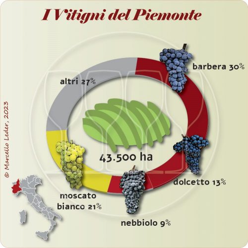 I Vitigni del Piemonte