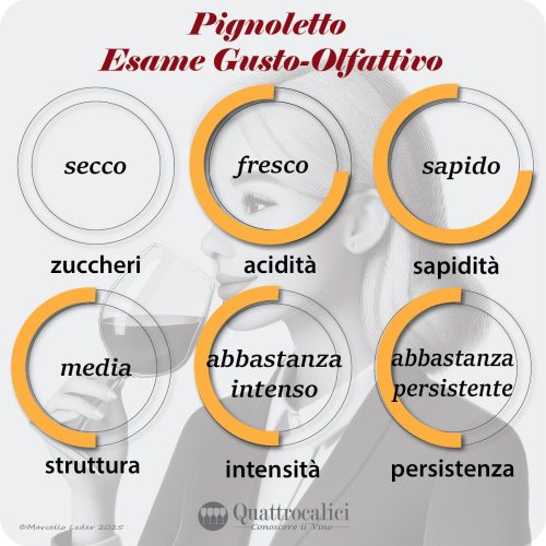 L'esame gusto-olfattivo dei vini Pignoletto