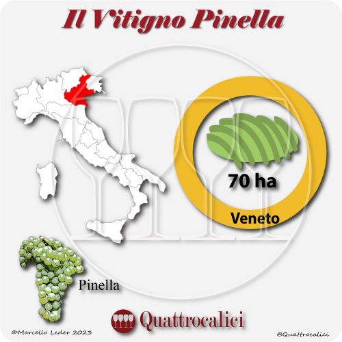 Il Vitigno Pinella e la sua coltivazione in Italia