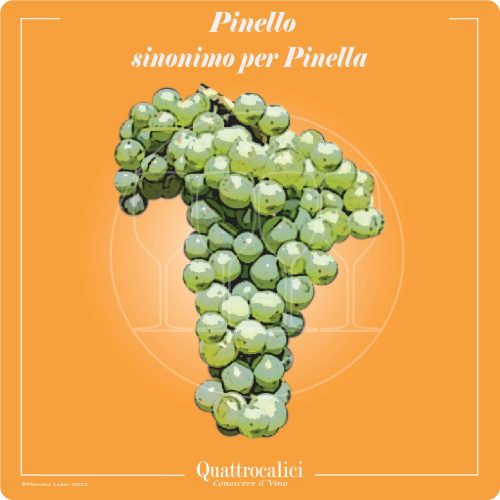Vitigno  Pinello