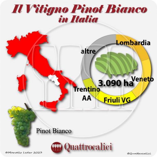 Il pinot bianco in Italia