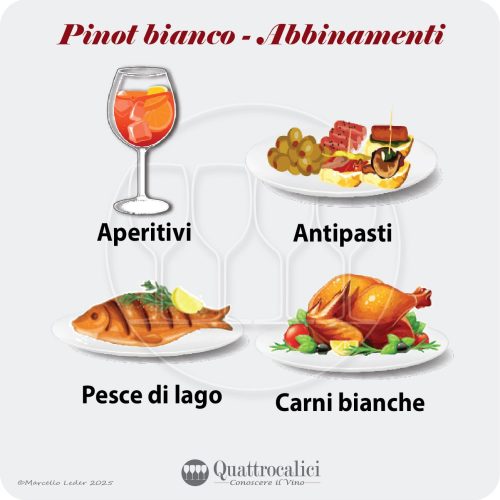 L'abbinamento al cibo dei vini Pinot bianco
