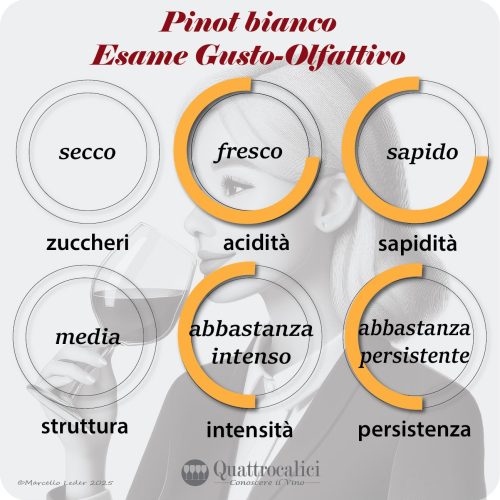 L'esame gustativo dei vini Pinot bianco