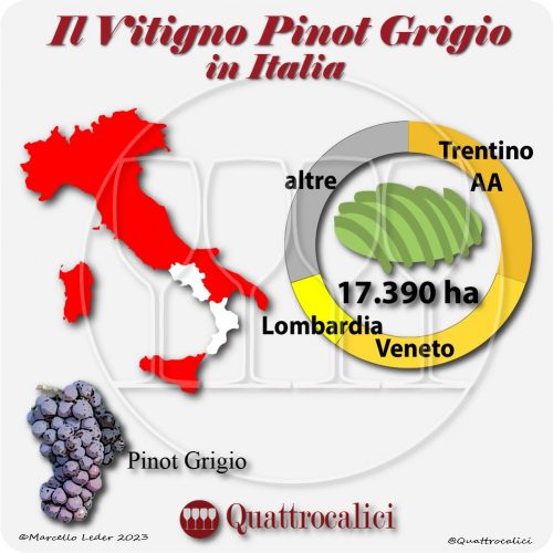 Il pinot grigio in Italia