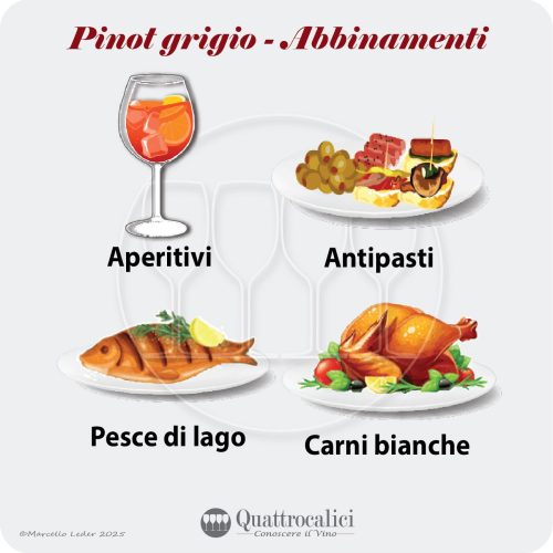L'abbinamento al cibo dei vini Pinot grigio