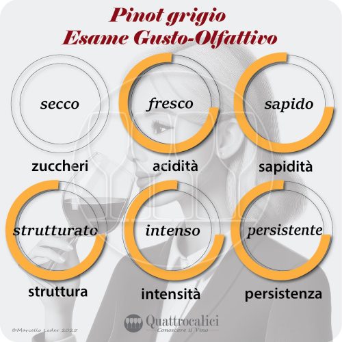 L'esame gustativo dei vini Pinot grigio