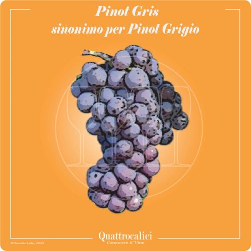 Vitigno  Pinot gris