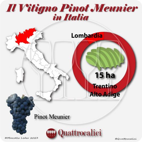 Il pinot meunier in Italia