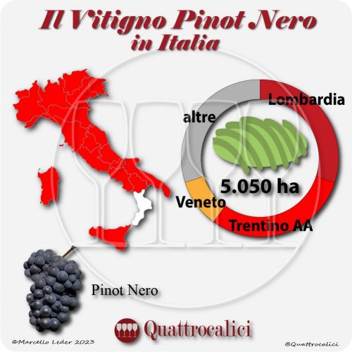 Il pinot nero nel mondo