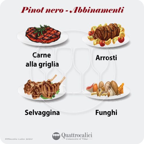 Gli abbinamenti al cibo dei vini Pinot nero