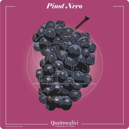 Vitigno  Pinot nero