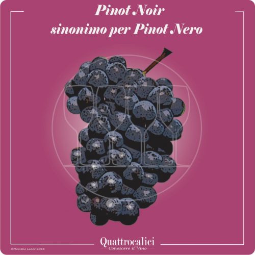 Vitigno  Pinot noir
