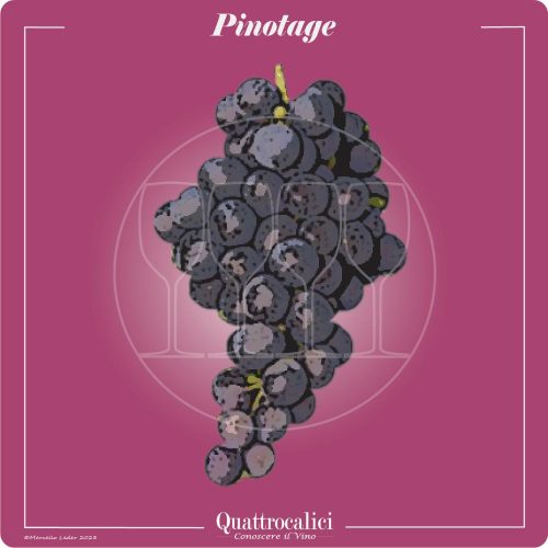 Vitigno  Pinotage