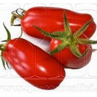 Pomodoro di San Marzano dell’Agro Sarnese-Nocerino DOP