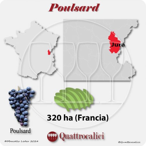 Il vitigno Poulsard in Francia