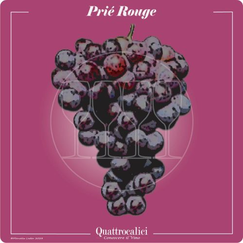 Vitigno  Prié rouge