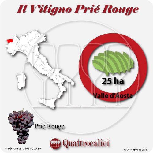 Il Vitigno Prié rouge e la sua coltivazione in Italia