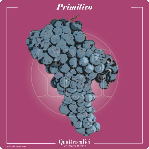 Vitigno  Primitivo