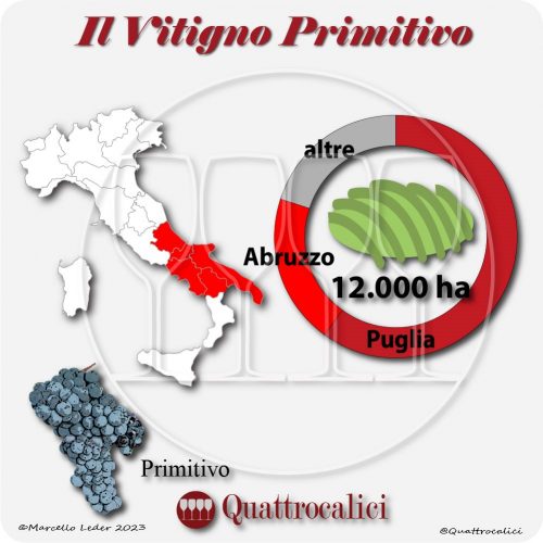 Il Vitigno Primitivo e la sua coltivazione in Italia