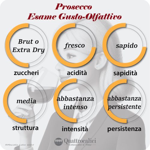L'esame gusto-olfattivo dei vini Prosecco
