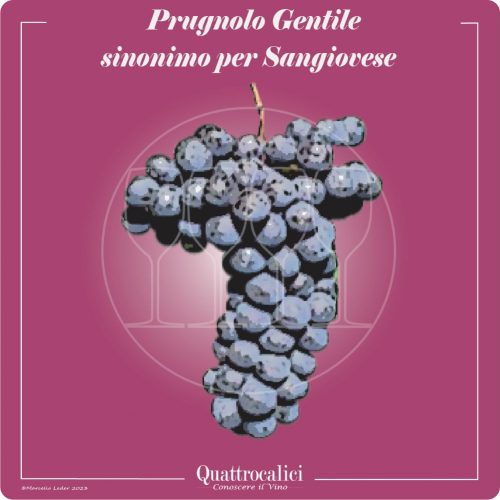 Vitigno  Prugnolo Gentile