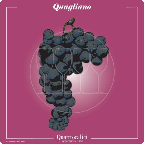 Vitigno  Quagliano