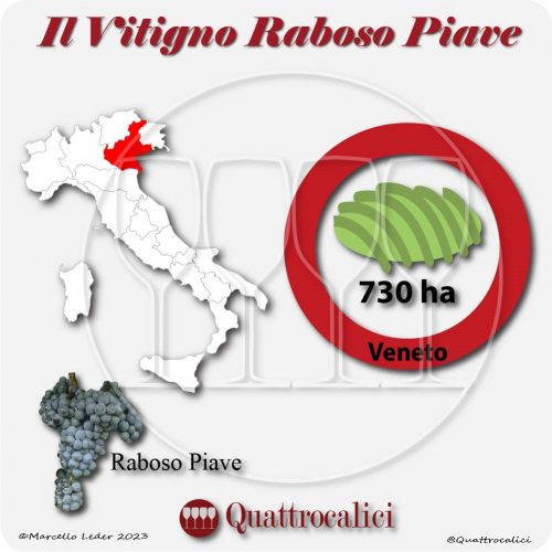 Il Vitigno Raboso Piave e la sua coltivazione in Italia