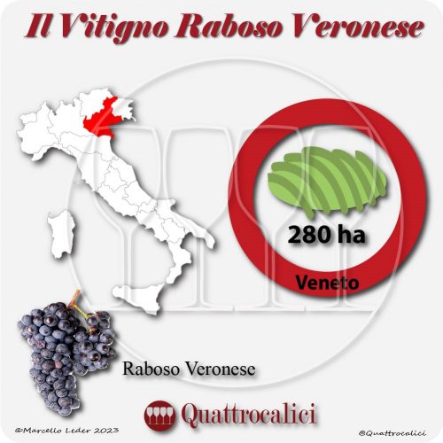 Il Vitigno Raboso Veronese e la sua coltivazione in Italia
