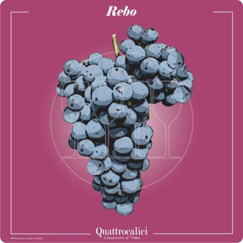 Vitigno  Rebo