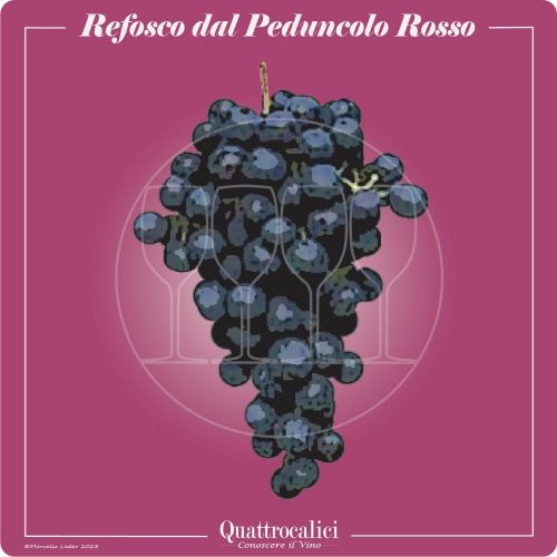 Vitigno  Refosco dal peduncolo rosso