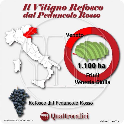 Il Vitigno Refosco dal peduncolo rosso e la sua coltivazione in Italia