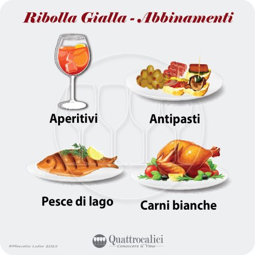 Gli abbinamenti al cibo dei vini Ribolla Gialla
