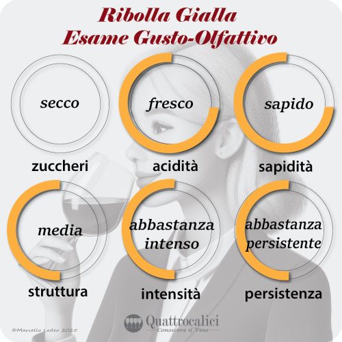 L'esame gusto-olfattivo dei vini Ribolla gialla