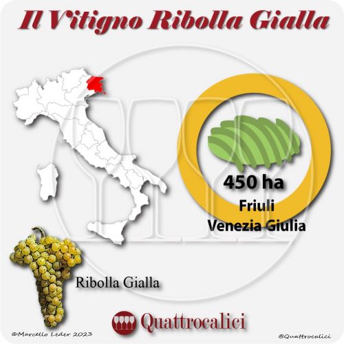Il Vitigno Ribolla gialla e la sua coltivazione in Italia