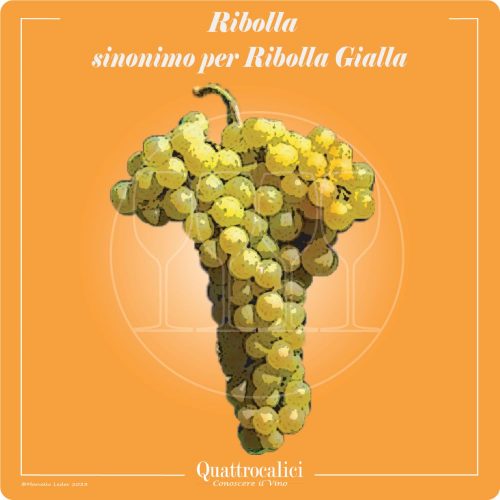 Vitigno  Ribolla