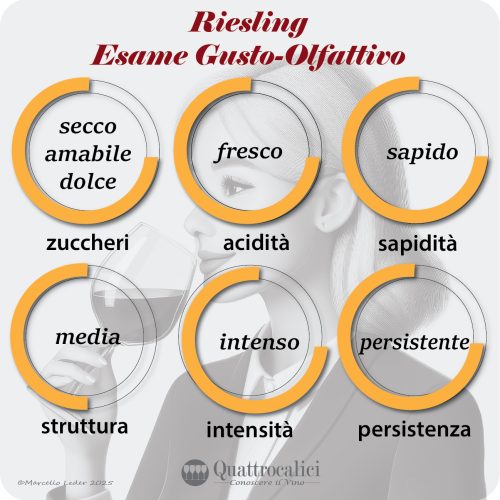 L'esame gusto-olfattivo dei Riesling